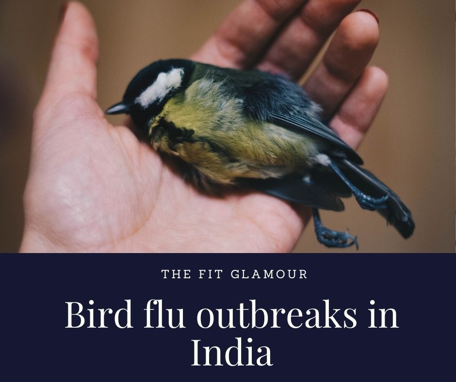 Bird Flu in India